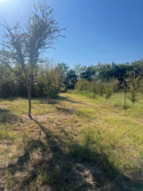 photo 3: TBD County Road 4079, Scurry TX 75158