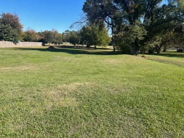 photo 3: Lot 446 Oak Leaf Trail, East Tawakoni TX 75472