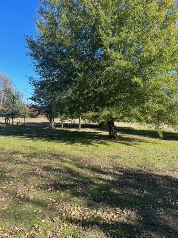 photo 7: Lot 446 Oak Leaf Trail, East Tawakoni TX 75472