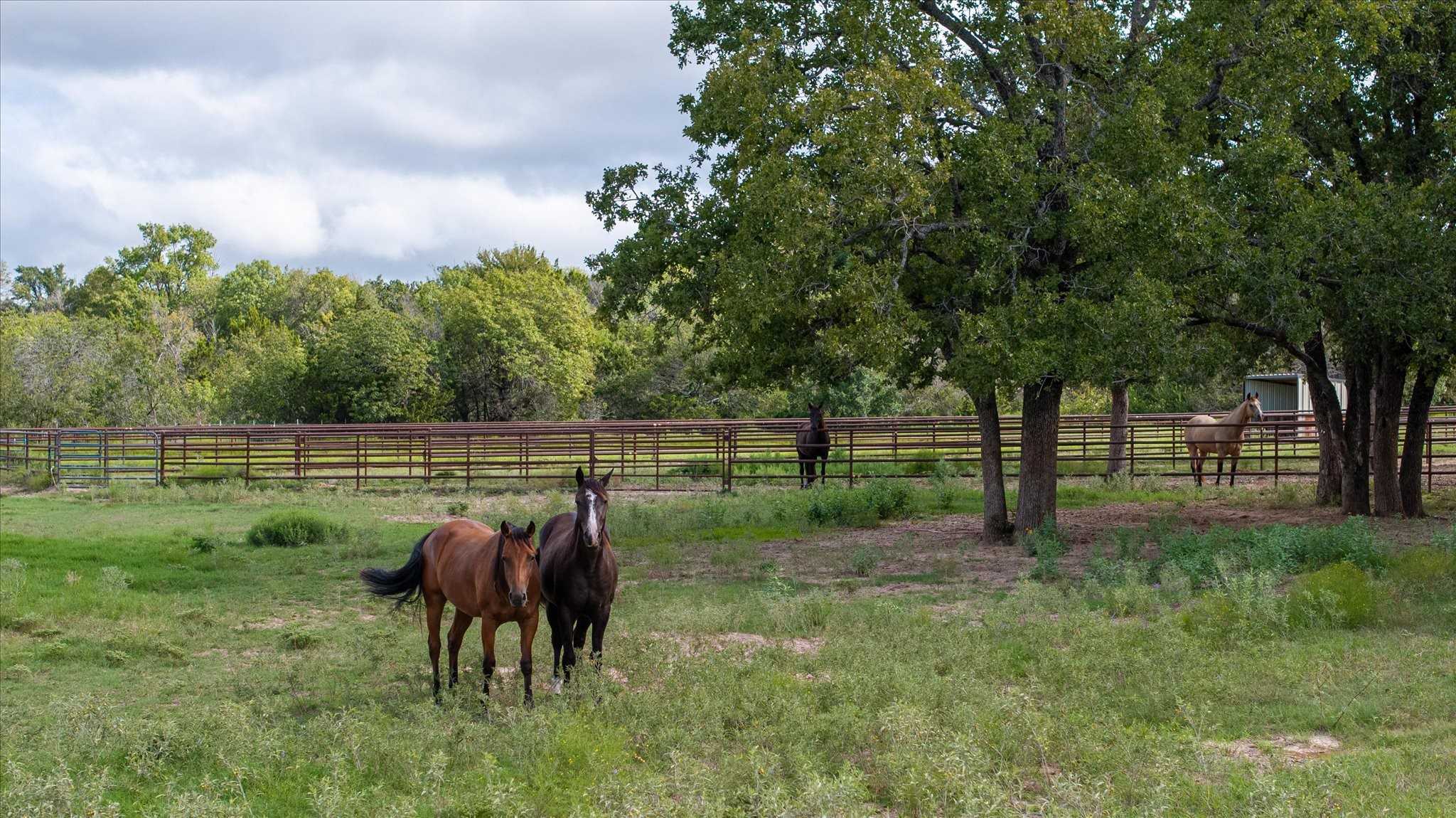 photo 2: 285 Saddle Creek Trail, Stephenville TX 76401