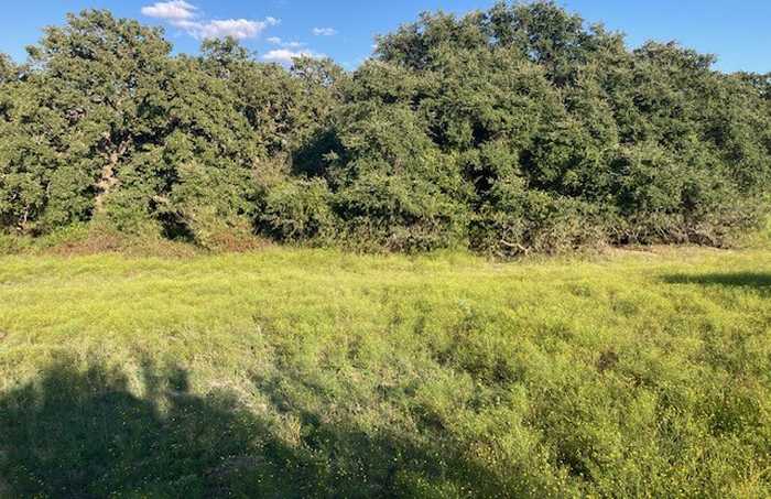 photo 1: TBD Cr 387  C, Stephenville TX 76401