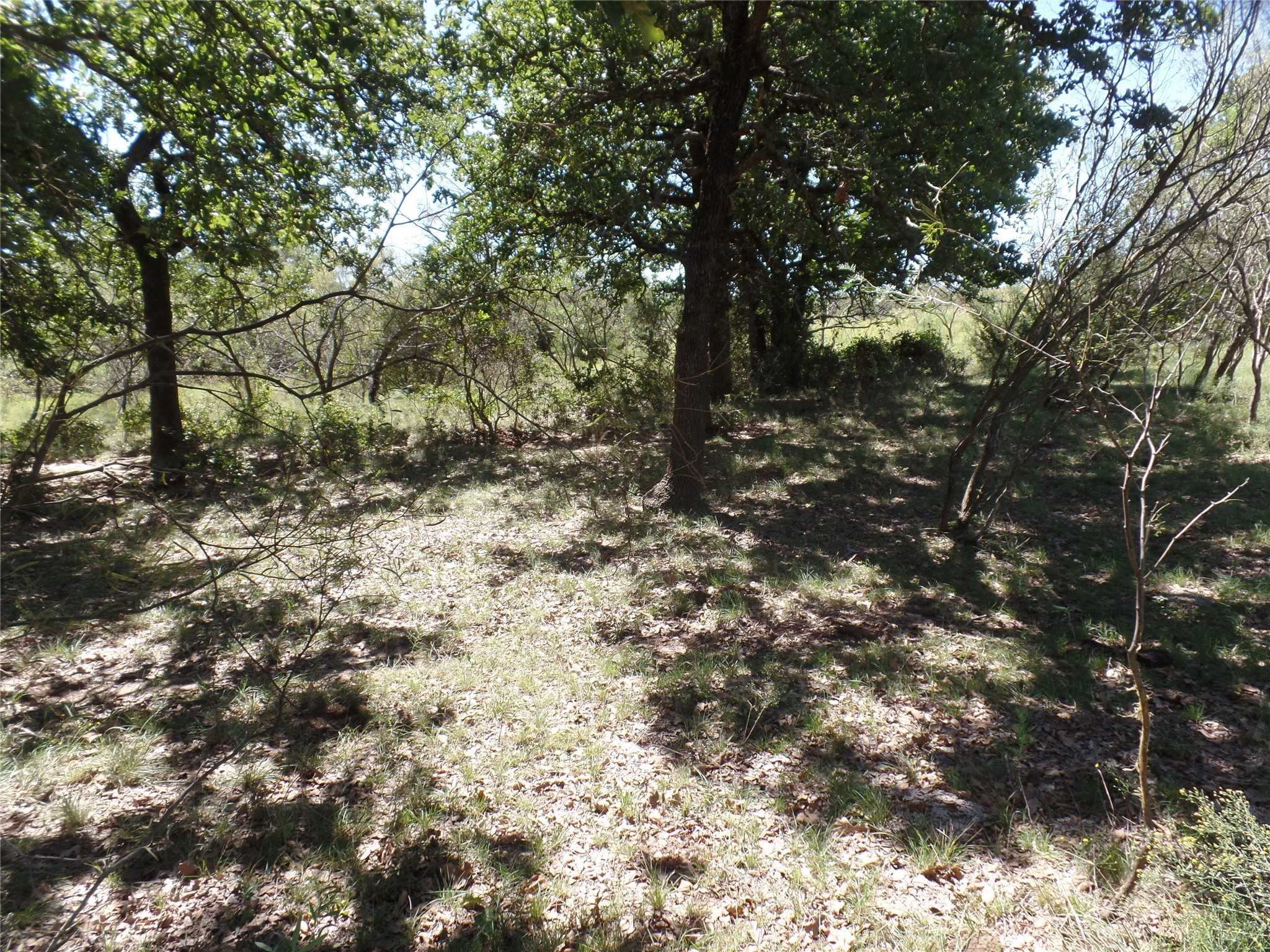 photo 3: TBD Cr 387  C, Stephenville TX 76401