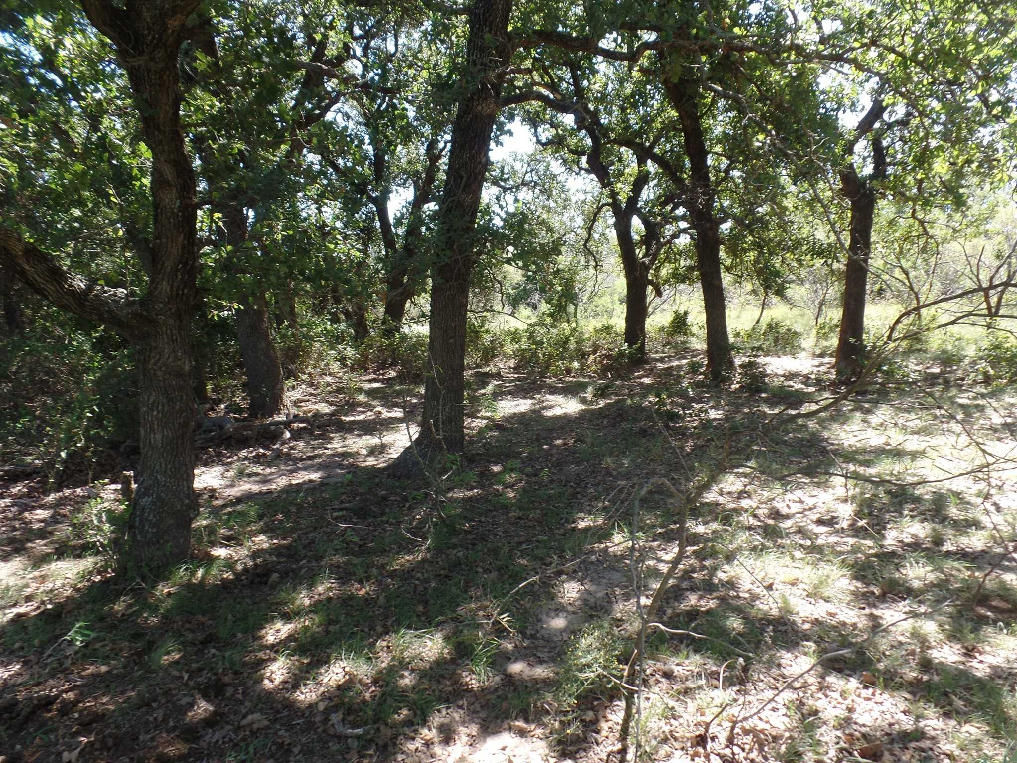 photo 3: TBD CR 387  A, Stephenville TX 76401