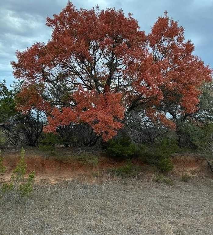 photo 12: 5305 County Road 188, Stephenville TX 76401