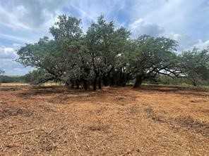 photo 3: 4025 (1) County Road 175, Stephenville TX 76401