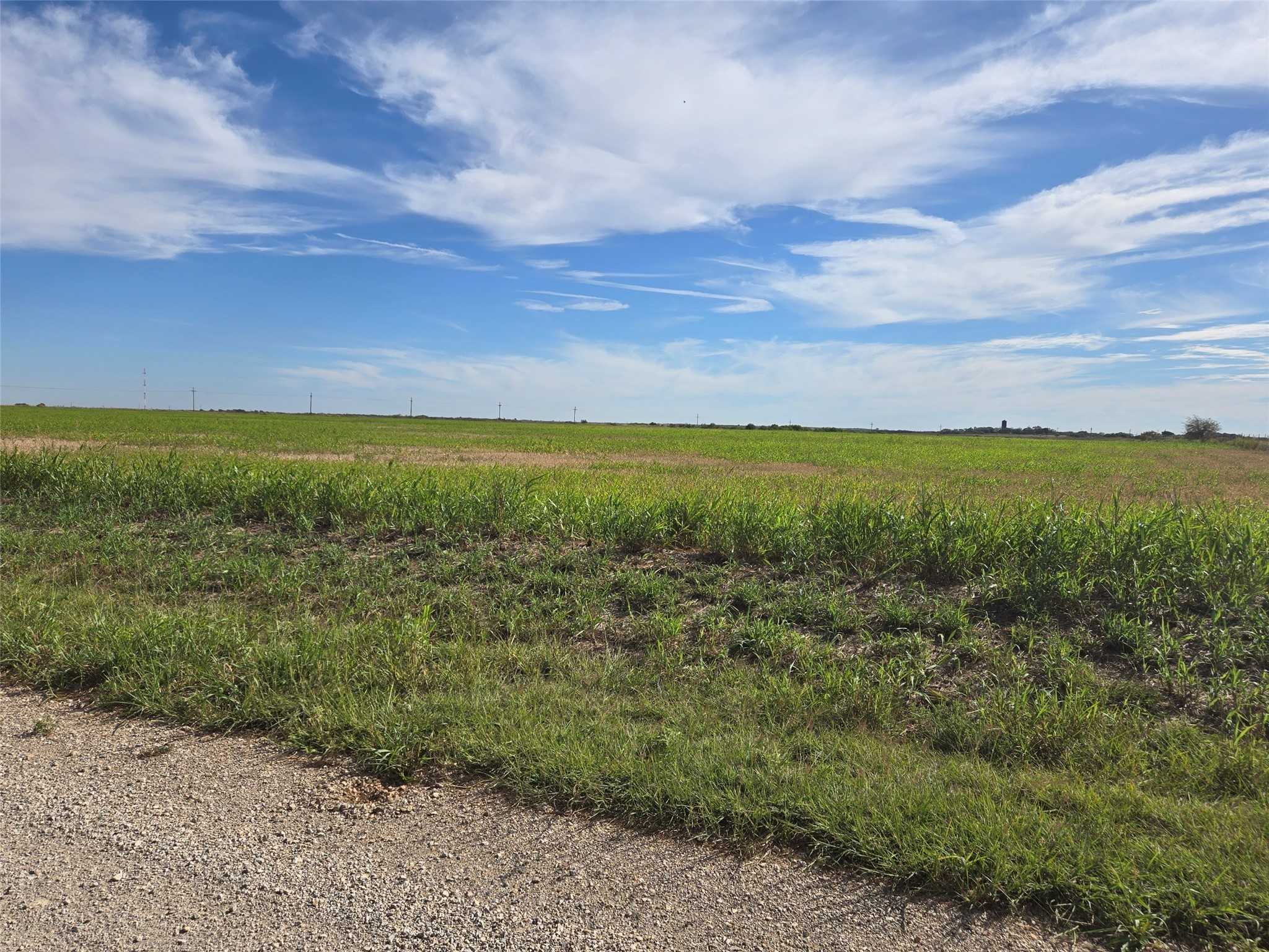 photo 1: TBD Hwy 114, Megargel TX 76370