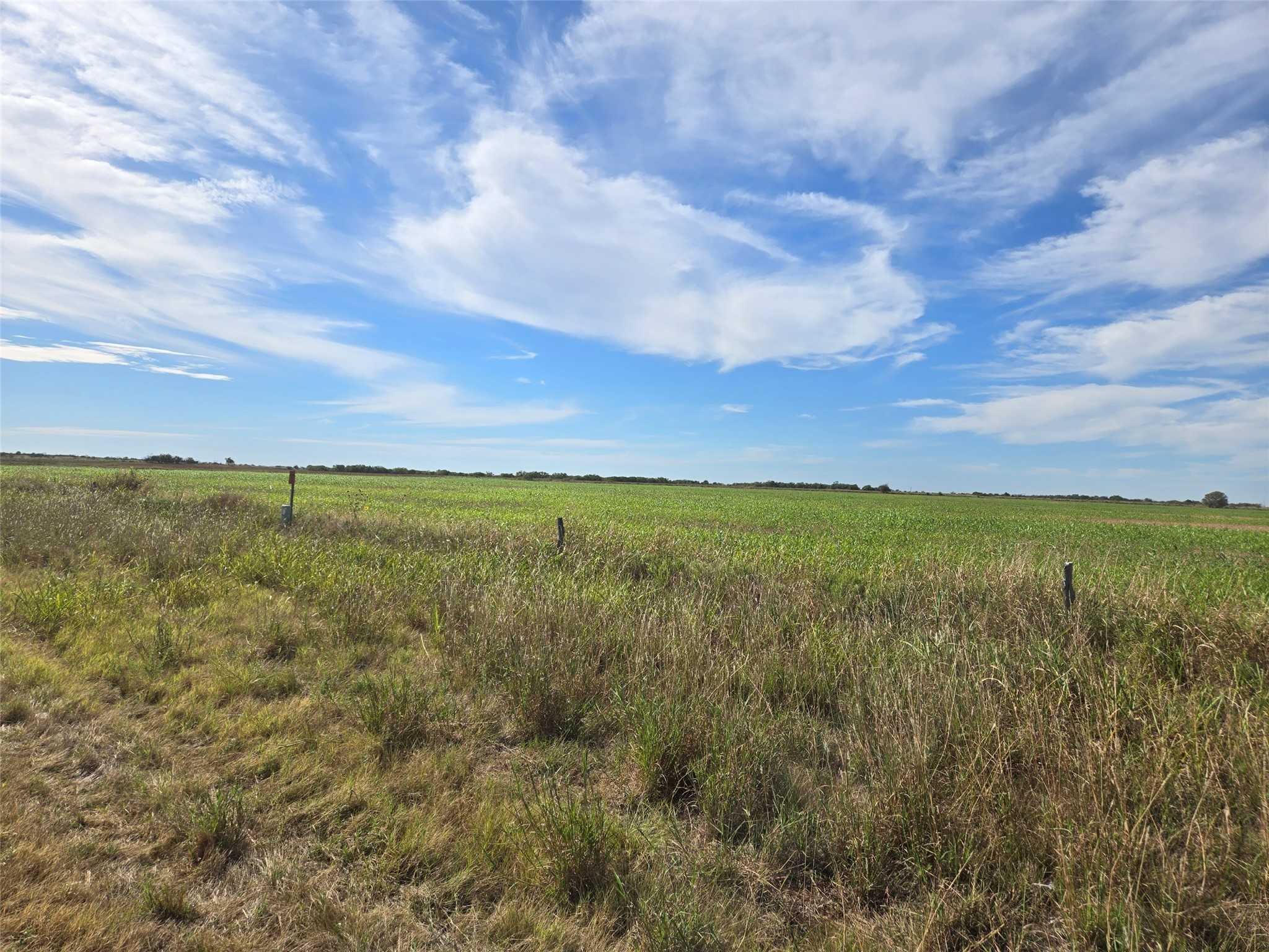 photo 3: TBD Hwy 114, Megargel TX 76370