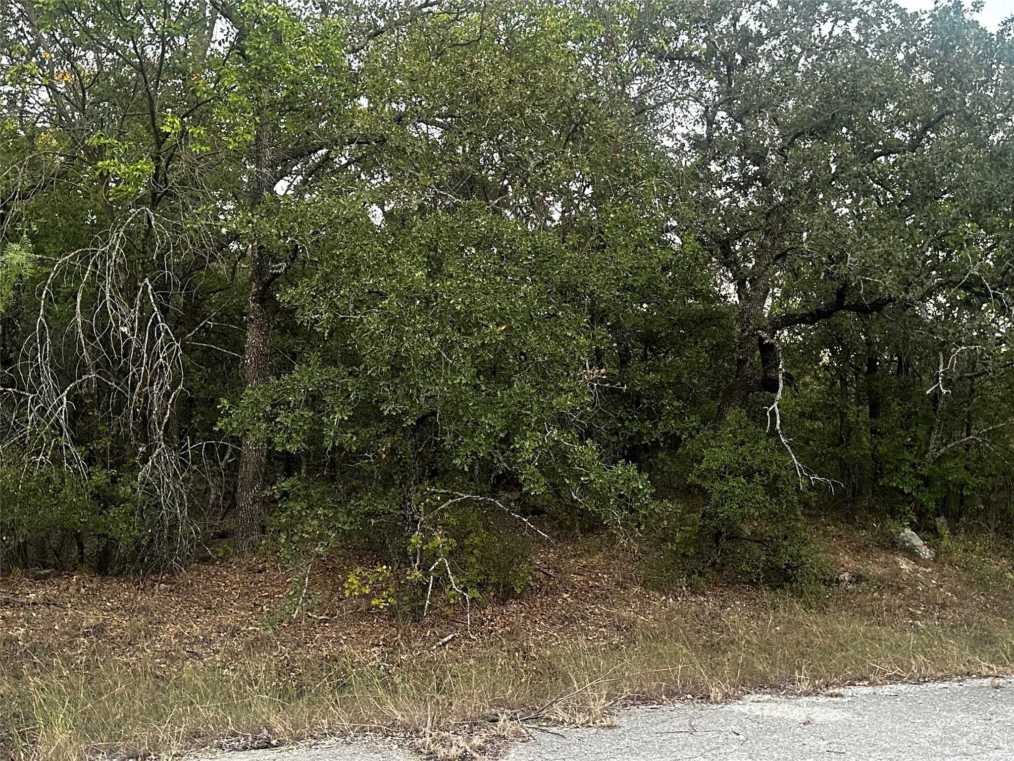 photo 1: 106 Ash Court, Runaway Bay TX 76426