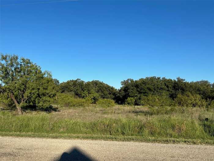 photo 2: 263 Feather Bay Drive, Brownwood TX 76801