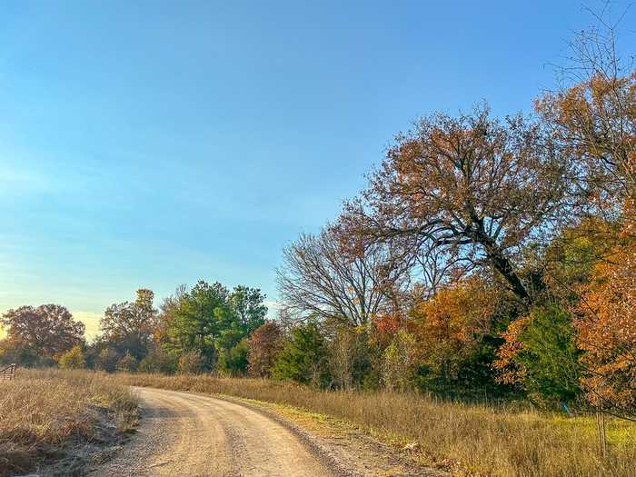 photo 1: County Road 4640, Avery TX 75554