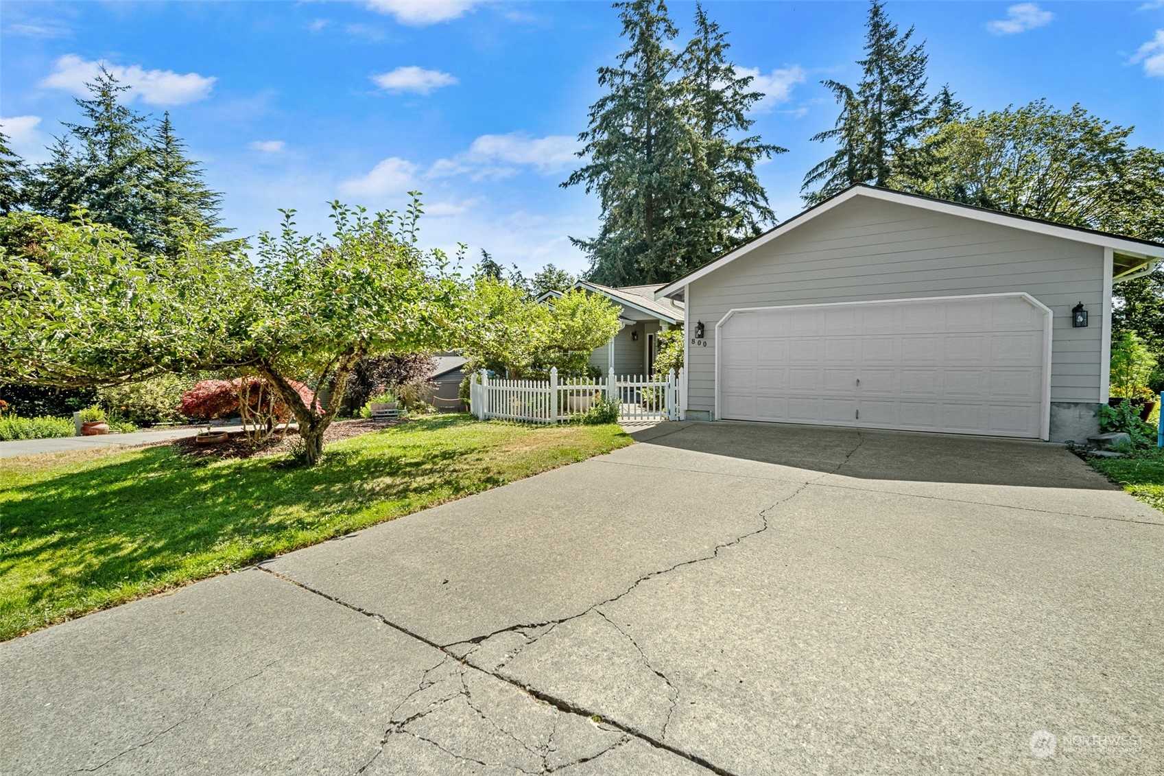 photo 3: 800 Newell Street, Bellingham WA 98225