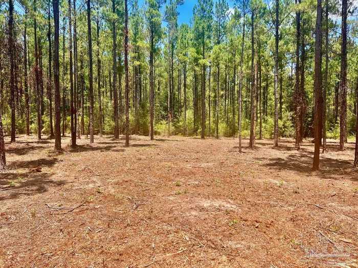 photo 1: 14 Nature Walk Rd, Pace FL 32571