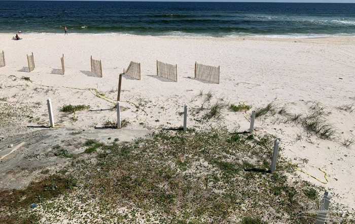 photo 23: 13817 Perdido Key Dr, Pensacola FL 32507