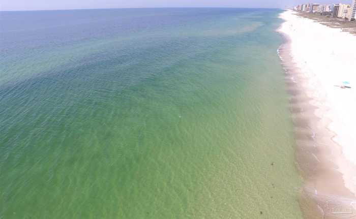 photo 48: 16775 Perdido Key Dr, Perdido Key FL 32507