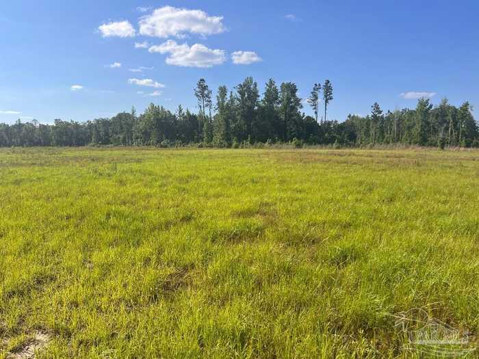 photo 2: 17 Cotton Lake Rd, Molino FL 32577