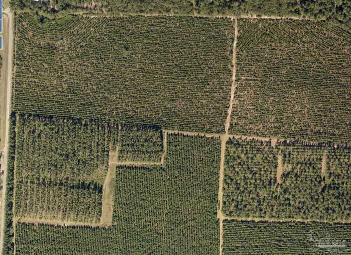 photo 2: 2 Bud Diamond Rd, Jay FL 32565