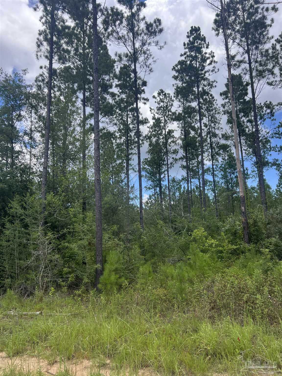 photo 1: 1 Sage Forest Ln, Pace FL 32571