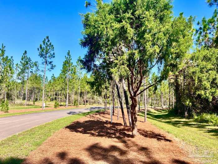 photo 1: 44 Nature Walk Rd, Pace FL 32571