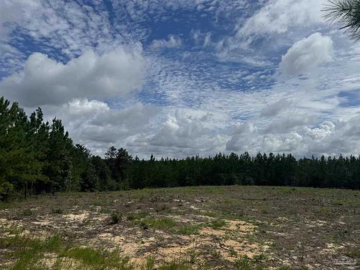 photo 11: 8314 Teton Crest Dr, Pace FL 32571