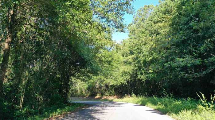 photo 1: 2 Broomes Rd, Century FL 32535