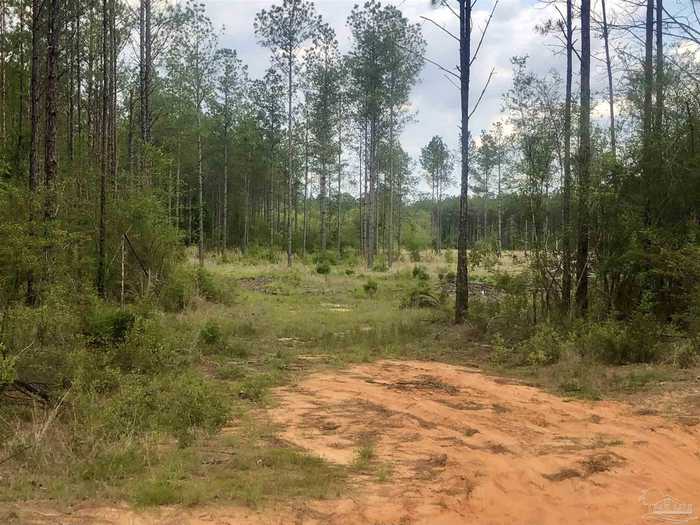 photo 2: Parcel E NE Walther Rd, Milton FL 32570