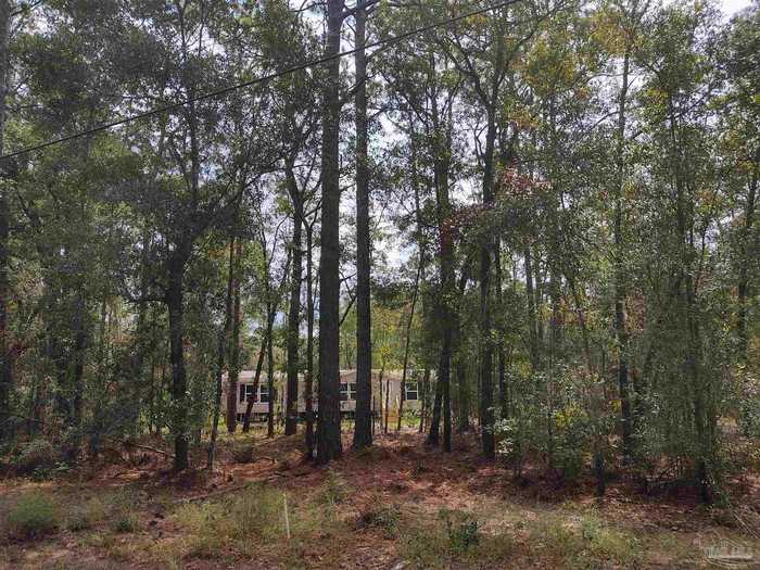 photo 2: 7745 Old Hickory Hammock Rd, Milton FL 32583