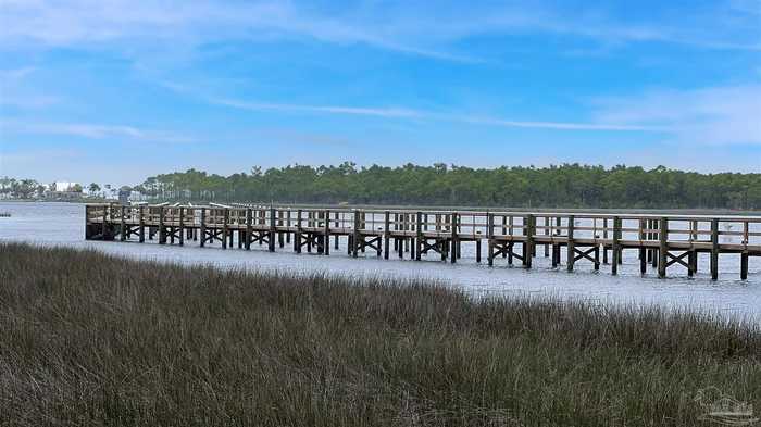 photo 42: 13817 Red Drum Ct, Perdido Key FL 32507