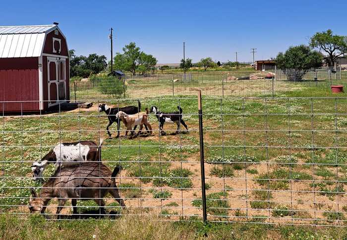 photo 38: 1623 County Rd 148, Snyder (Greater Area) TX 79549