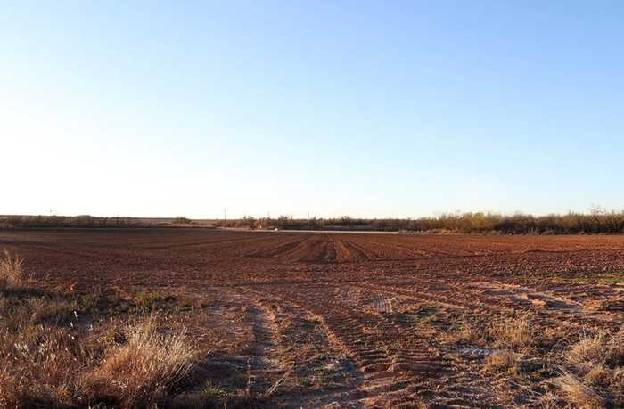 photo 2: Snyder Field Rd, Coahoma TX 79511