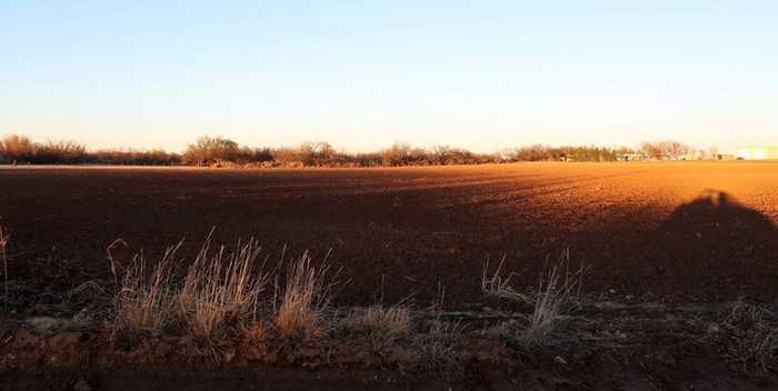 photo 9: Snyder Field Rd, Coahoma TX 79511