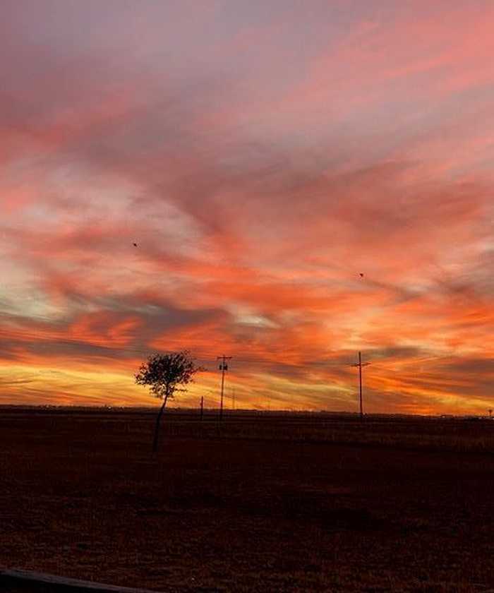 photo 34: 281 County Rd 104, Seminole TX 79360