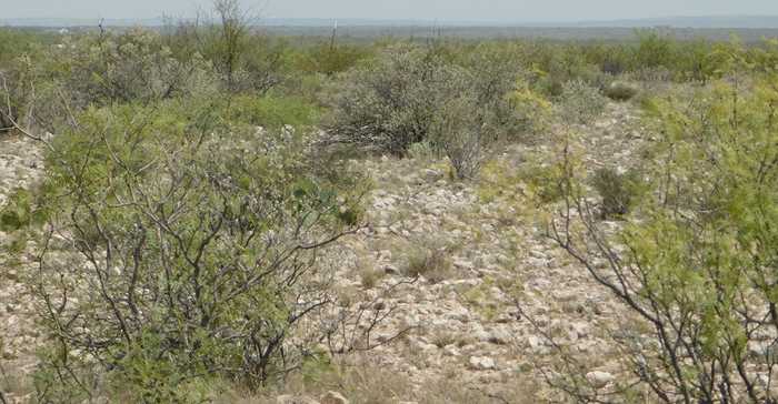 photo 23: Tract 47 Private Rd, Dryden TX 78851