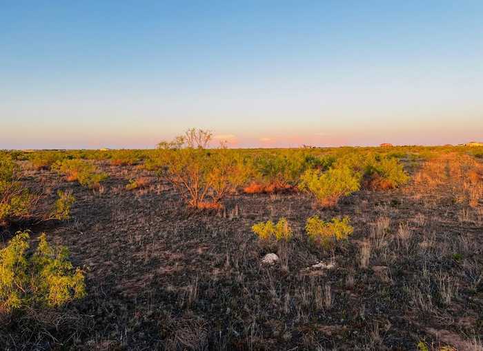 photo 2: TBD County Rd 411, Seminole TX 79360