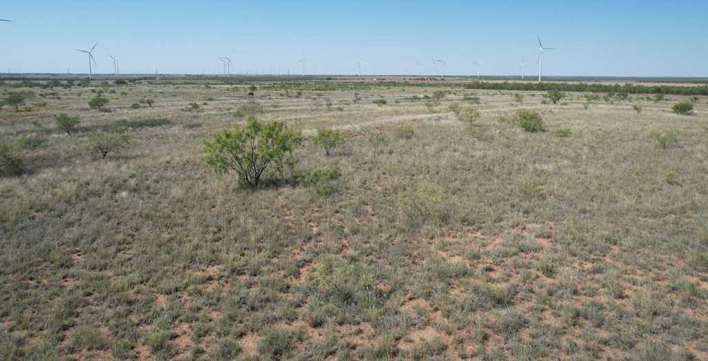 photo 2: Round Top Road, Snyder TX 79549