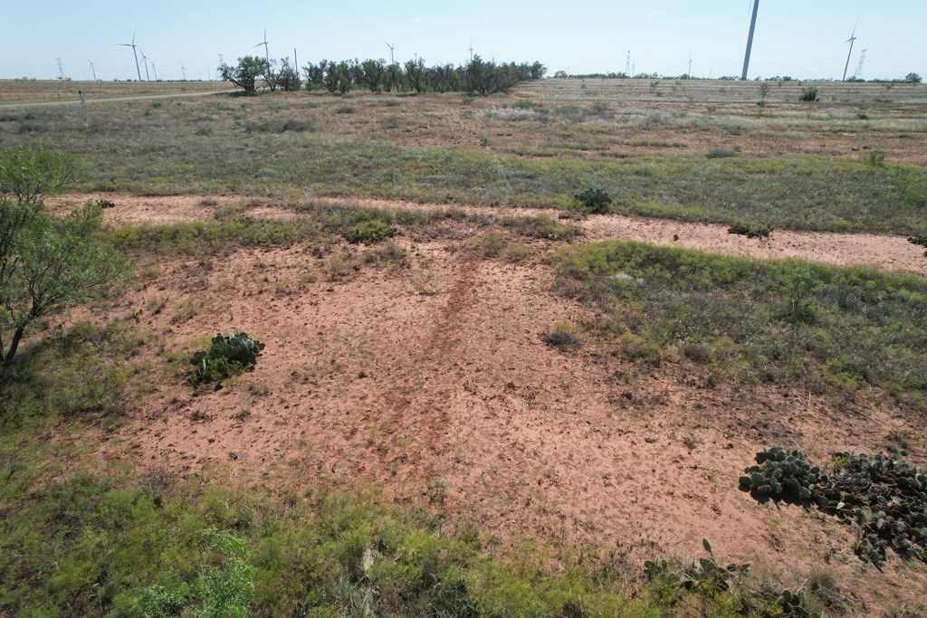 photo 3: Round Top Road, Snyder TX 79549