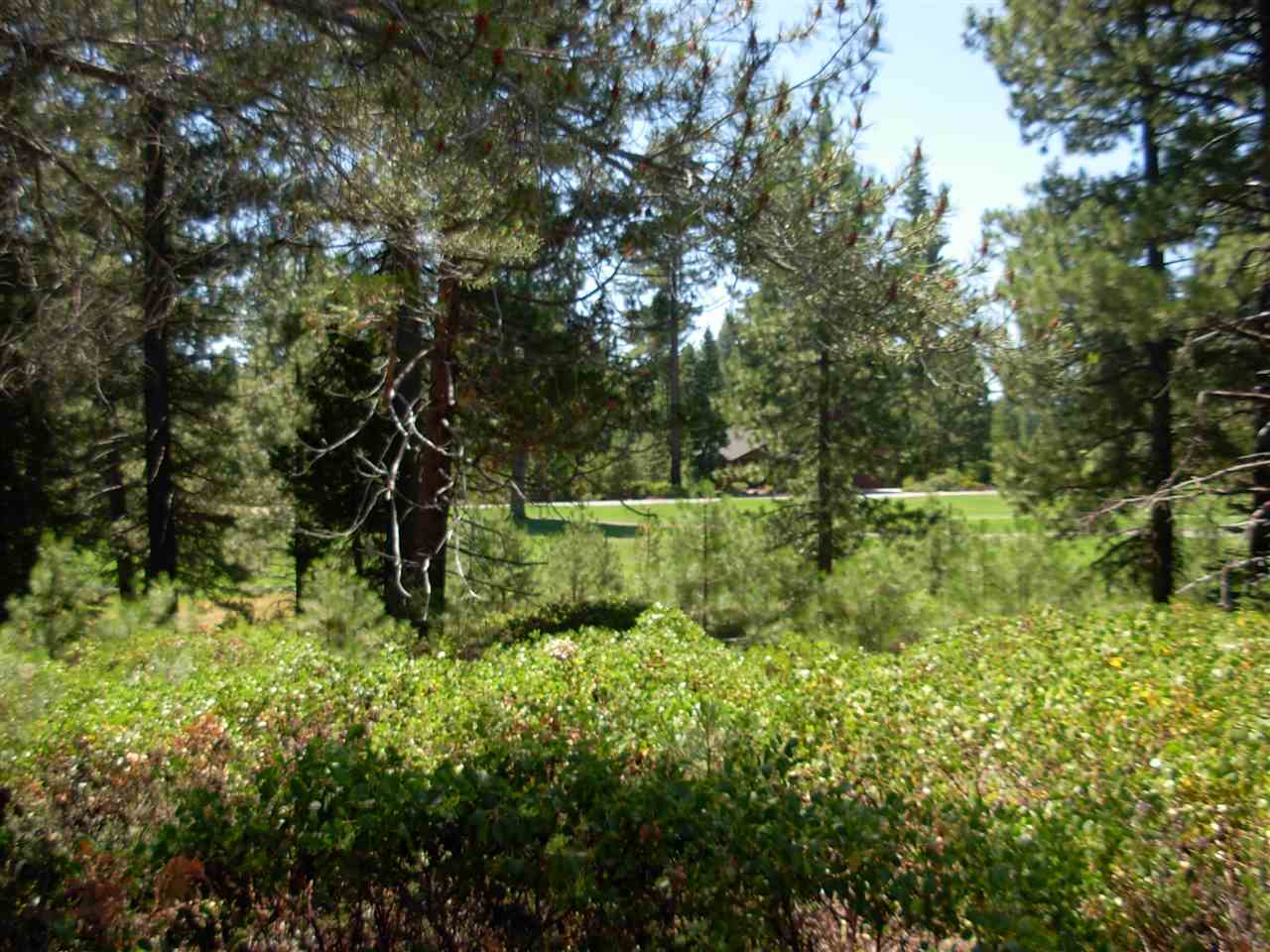 photo 3: 234 Manor Drive, Lake Almanor CA 96137