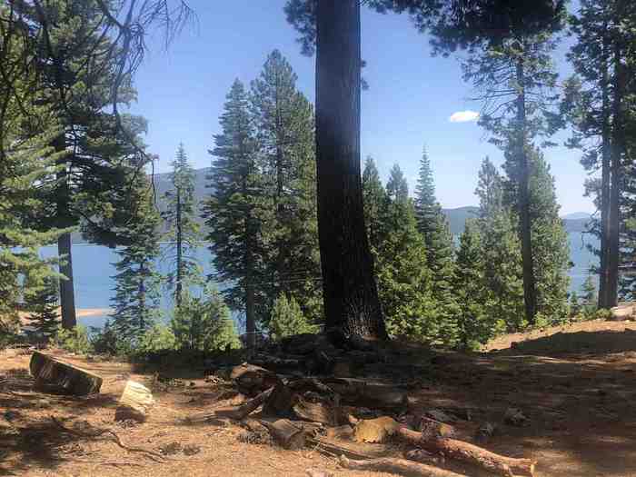 photo 1: 663 Peninsula Drive, Lake Almanor CA 96137