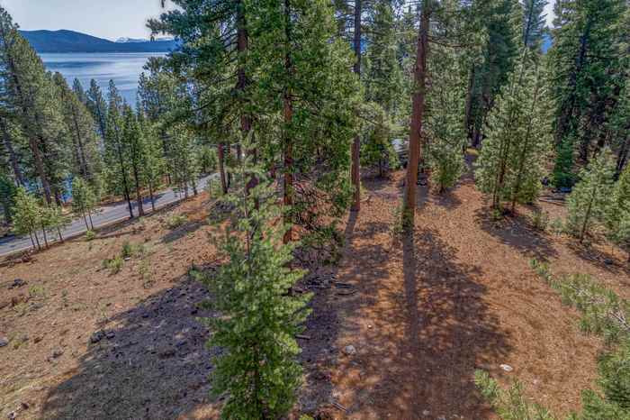 photo 9: 663 Peninsula Drive, Lake Almanor CA 96137