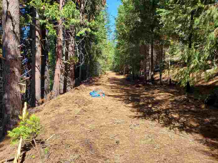 photo 6: 4976 Highway 147, Lake Almanor CA 96137