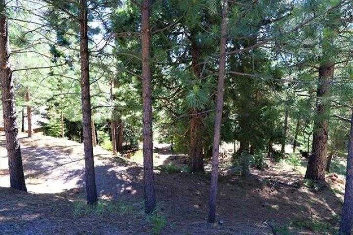 photo 1: 268 Osprey Loop, Lake Almanor West CA 96020