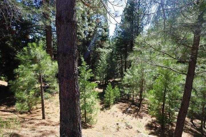 photo 2: 268 Osprey Loop, Lake Almanor West CA 96020