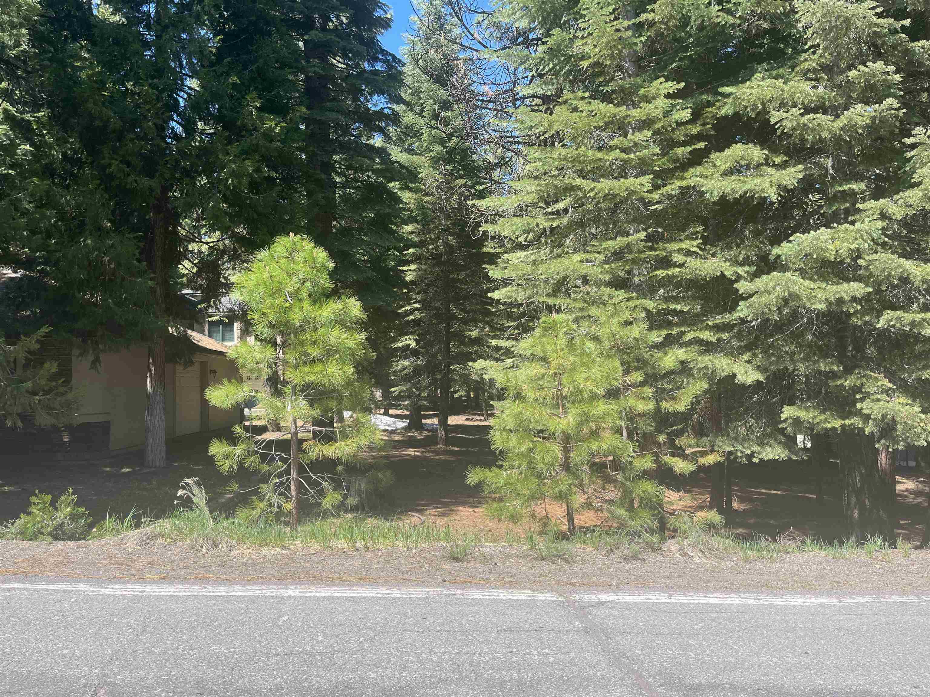 photo 1: 343 Osprey Loop, Lake Almanor West CA 96020