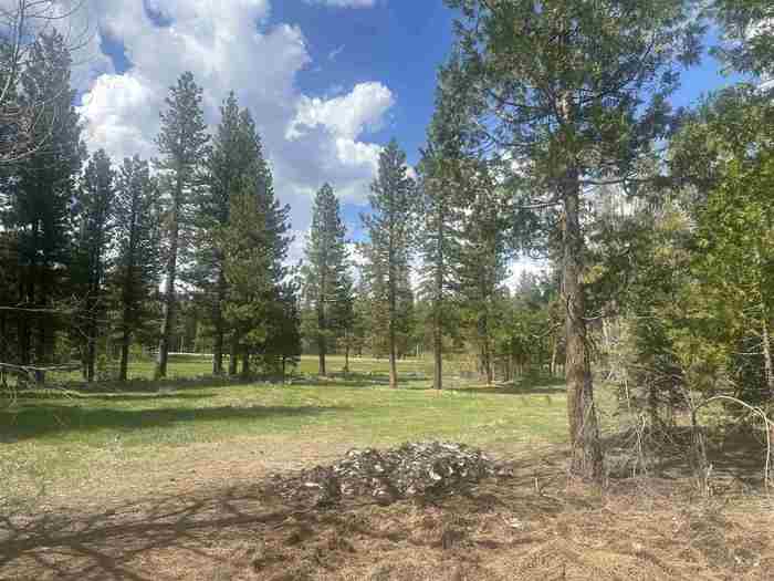 photo 1: 50 Calpine Avenue, Calpine CA 96124