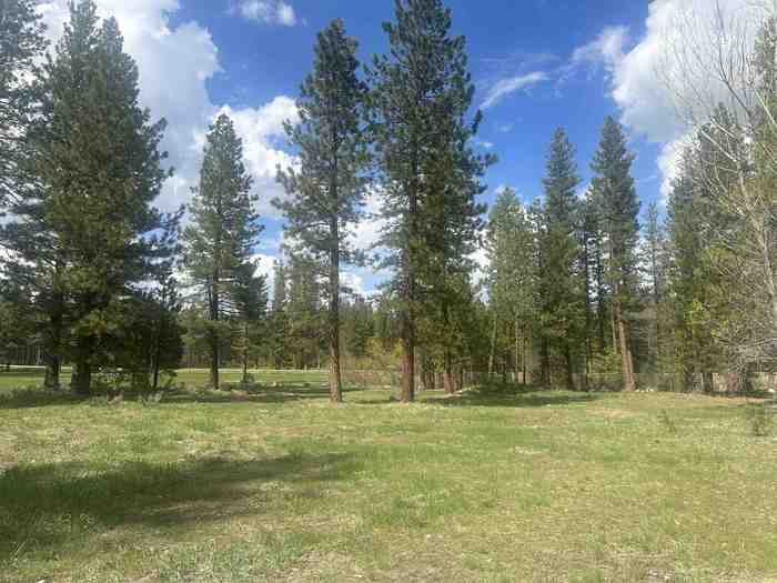 photo 2: 50 Calpine Avenue, Calpine CA 96124