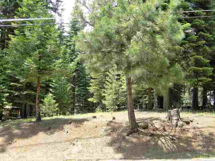 photo 2: 719 Peninsula Drive, Lake Almanor CA 96137