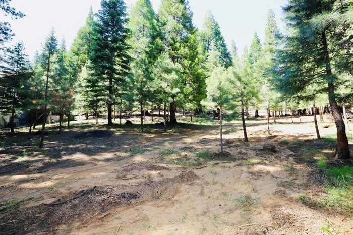 photo 5: 275 Osprey Loop Unit 5, Lake Almanor West CA 96020