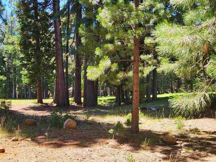 photo 2: 314 Maidu Drive, Lake Almanor West CA 96020