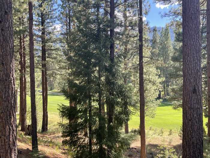 photo 2: 180 Saddle Ridge Road, Clio CA 96106