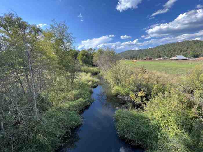 photo 23: 231 Main Ranch Road, Quincy CA 95971