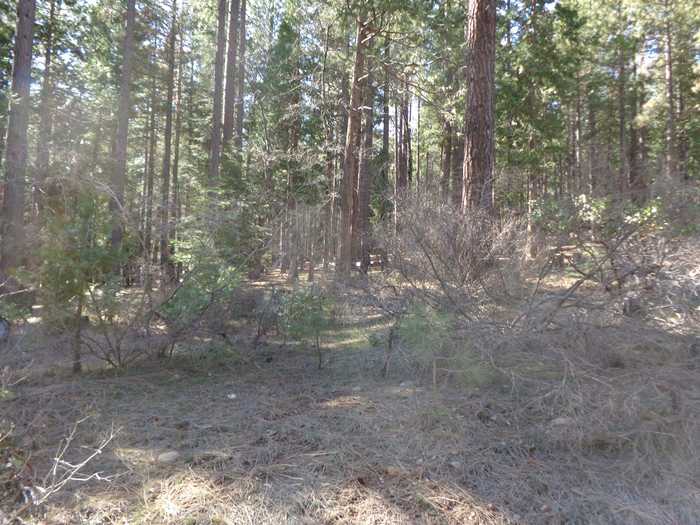 photo 1: 2045 Red Bluff Trail, Quincy CA 95971